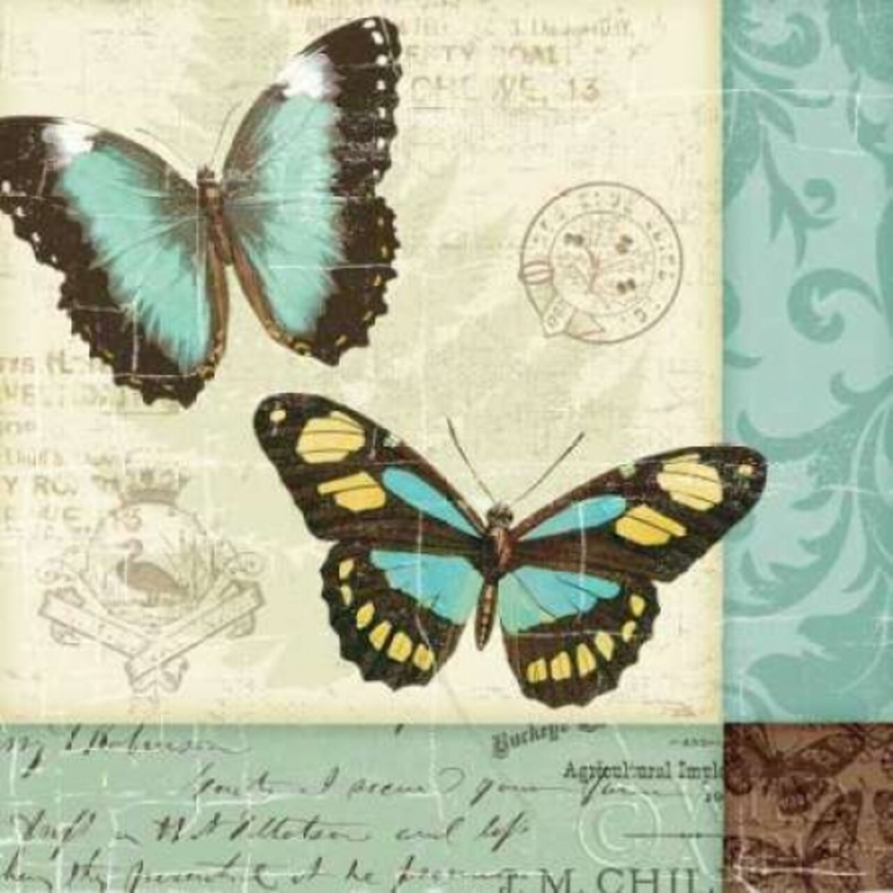 Butterfly Patchwork II Poster Print by Pela Studio - Item # VARPDX6873